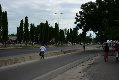 DSC_9753 (Large).JPG